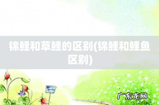 锦鲤和鲤鱼区别 锦鲤和草鲤的区别