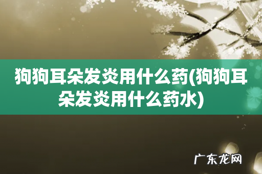 狗狗耳朵发炎用什么药水 狗狗耳朵发炎用什么药