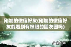刚加的微信好友能看到有权限的朋友圈吗 刚加的微信好友