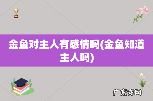 金鱼知道主人吗 金鱼对主人有感情吗