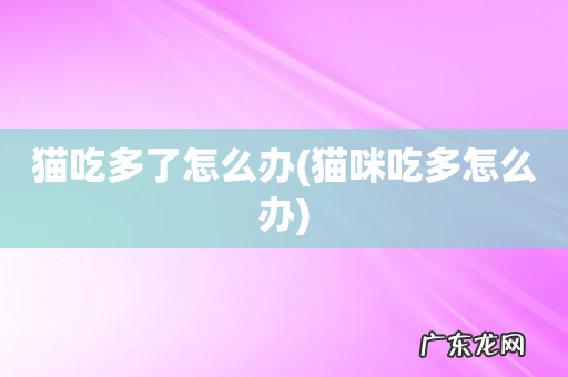 猫咪吃多怎么办 猫吃多了怎么办