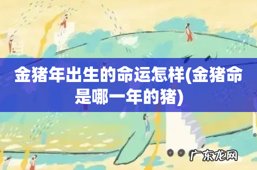 金猪命是哪一年的猪 金猪年出生的命运怎样