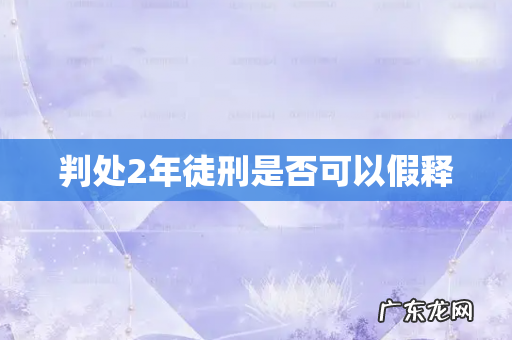 判处2年徒刑是否可以假释