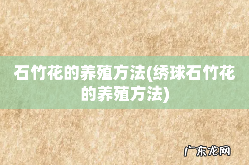 绣球石竹花的养殖方法 石竹花的养殖方法