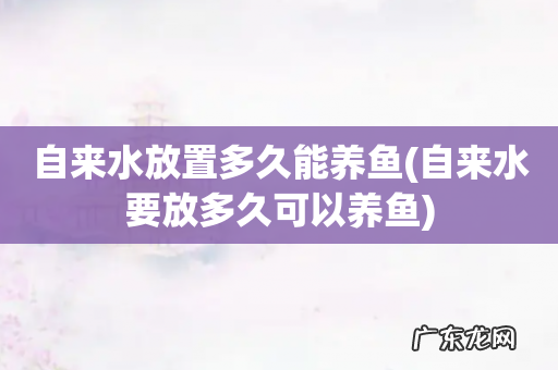 自来水要放多久可以养鱼 自来水放置多久能养鱼