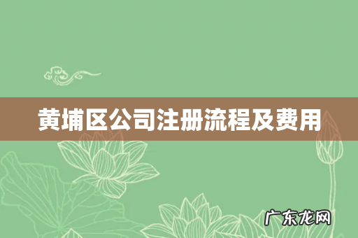 黄埔区公司注册流程及费用