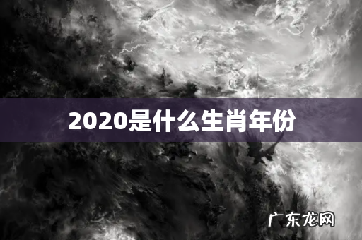 2020是什么生肖年份