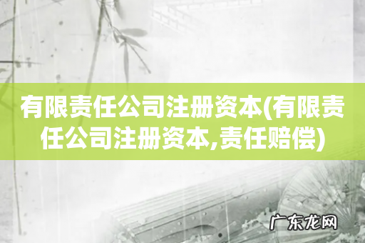 有限责任公司注册资本,责任赔偿 有限责任公司注册资本