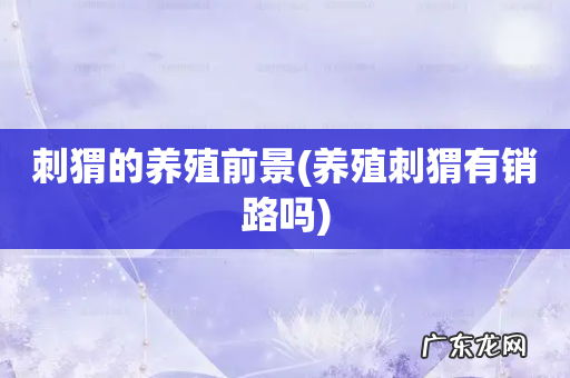 养殖刺猬有销路吗 刺猬的养殖前景