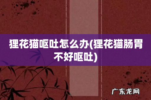 狸花猫肠胃不好呕吐 狸花猫呕吐怎么办