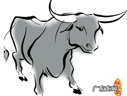 神秘风水学十二生肖 什么生肖顺风顺水