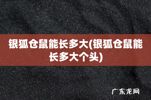 银狐仓鼠能长多大个头 银狐仓鼠能长多大