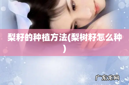 梨树籽怎么种 梨籽的种植方法