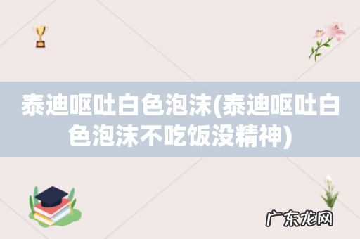 泰迪呕吐白色泡沫不吃饭没精神 泰迪呕吐白色泡沫