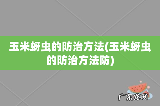 玉米蚜虫的防治方法防 玉米蚜虫的防治方法