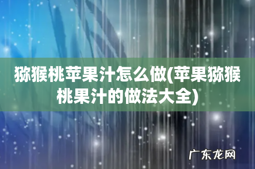 苹果猕猴桃果汁的做法大全 猕猴桃苹果汁怎么做