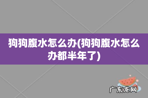 狗狗腹水怎么办都半年了 狗狗腹水怎么办