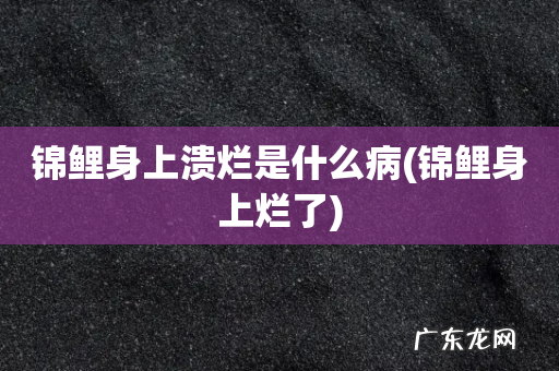 锦鲤身上烂了 锦鲤身上溃烂是什么病