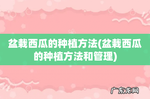 盆栽西瓜的种植方法和管理 盆栽西瓜的种植方法