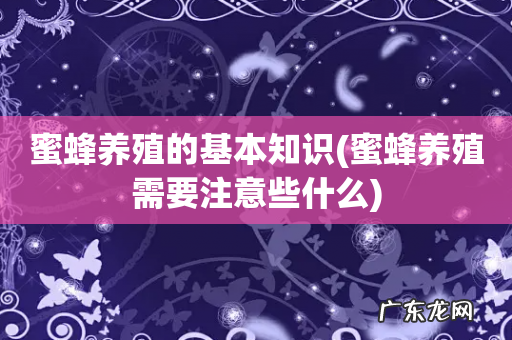 蜜蜂养殖需要注意些什么 蜜蜂养殖的基本知识
