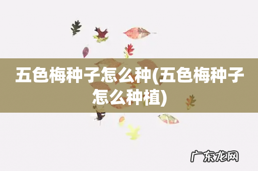 五色梅种子怎么种植 五色梅种子怎么种