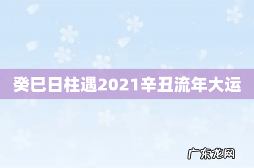 癸巳日柱遇2021辛丑流年大运