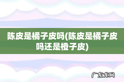 陈皮是橘子皮吗还是橙子皮 陈皮是橘子皮吗