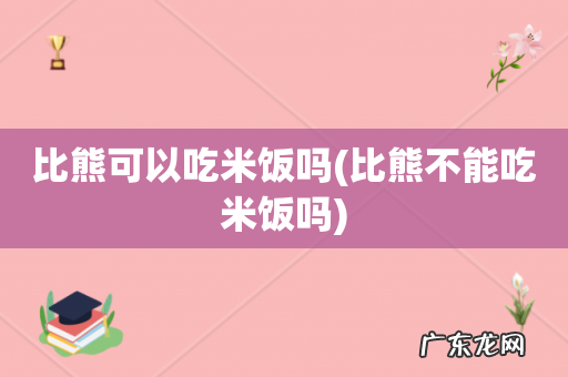 比熊不能吃米饭吗 比熊可以吃米饭吗