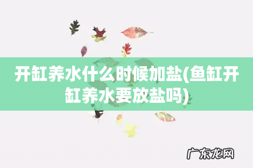 鱼缸开缸养水要放盐吗 开缸养水什么时候加盐