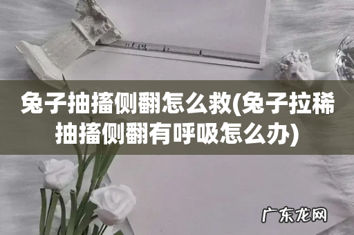 兔子拉稀抽搐侧翻有呼吸怎么办 兔子抽搐侧翻怎么救