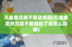 孔雀鱼忽然沉底不爱游动了是怎么回事 孔雀鱼沉底不爱动原因