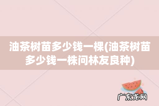 油茶树苗多少钱一株问林友良种 油茶树苗多少钱一棵