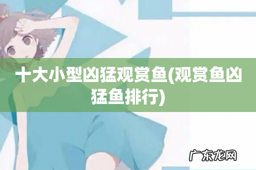 观赏鱼凶猛鱼排行 十大小型凶猛观赏鱼