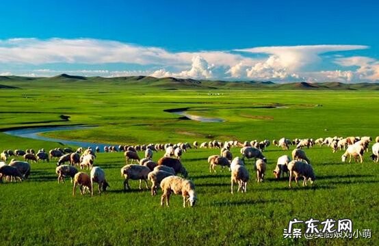 什么牌子的儿童奶粉好 什么牌子的奶粉好喝