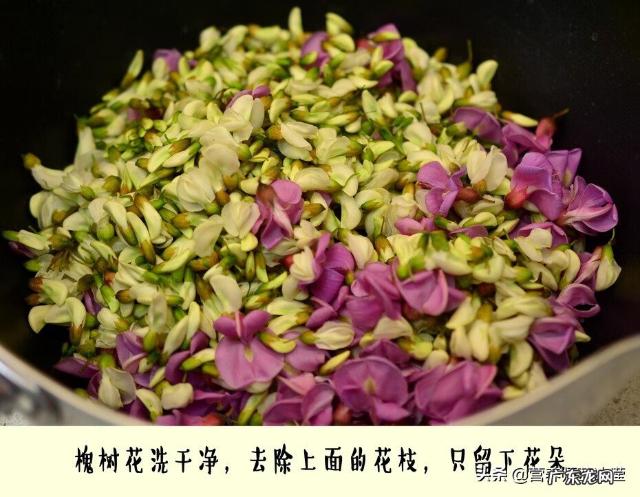 槐树花有什么功效 槐树花可以吃吗