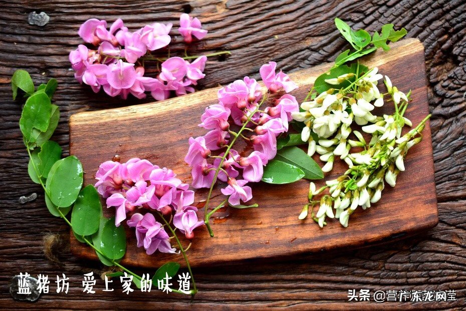 槐树花有什么功效 槐树花可以吃吗