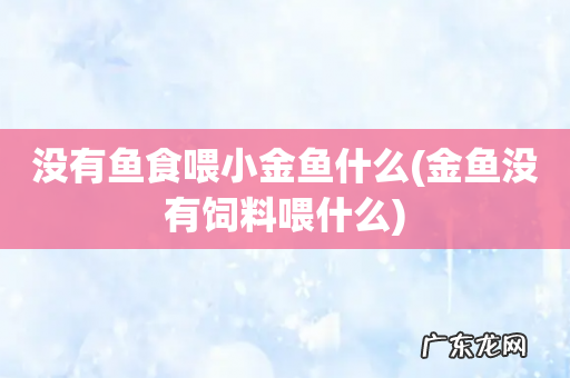 金鱼没有饲料喂什么 没有鱼食喂小金鱼什么