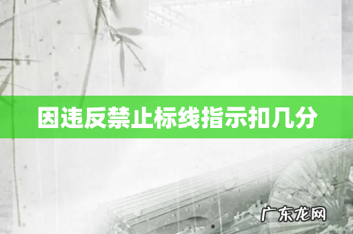 因违反禁止标线指示扣几分