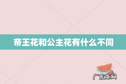 帝王花和公主花有什么不同