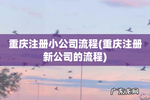 重庆注册新公司的流程 重庆注册小公司流程