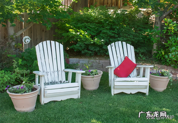 屋后大树风水 院内大树风水