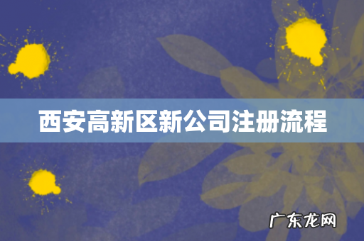 西安高新区新公司注册流程