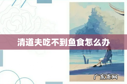 清道夫吃不到鱼食怎么办