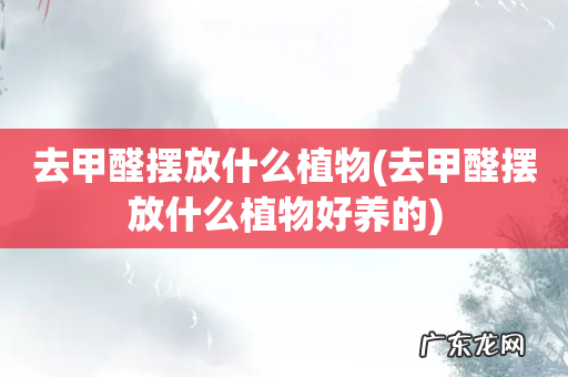去甲醛摆放什么植物好养的 去甲醛摆放什么植物