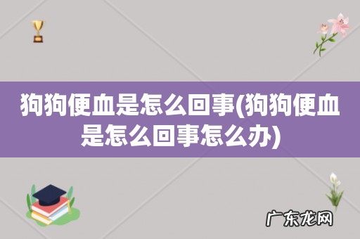狗狗便血是怎么回事怎么办 狗狗便血是怎么回事