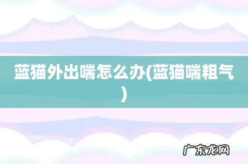 蓝猫喘粗气 蓝猫外出喘怎么办