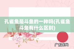 孔雀鱼斗鱼有什么区别 孔雀鱼是斗鱼的一种吗