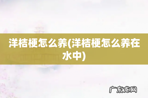 洋桔梗怎么养在水中 洋桔梗怎么养