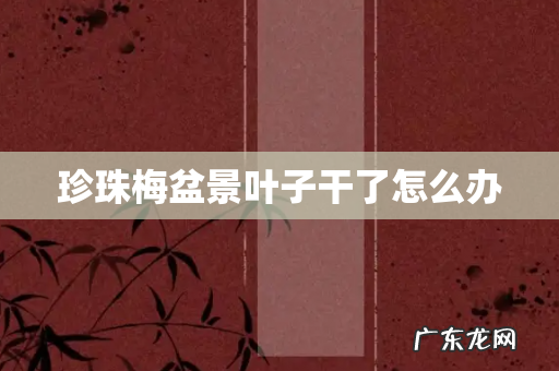 珍珠梅盆景叶子干了怎么办