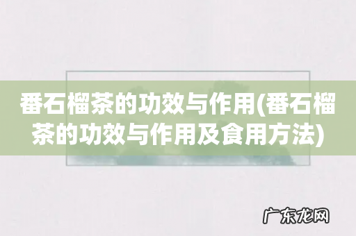 番石榴茶的功效与作用及食用方法 番石榴茶的功效与作用